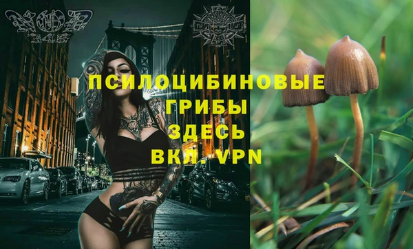 скорость Аркадак