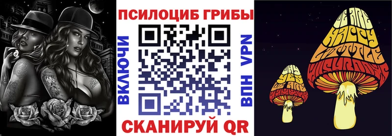 Галлюциногенные грибы ЛСД ссылка на мегу как зайти Мезень